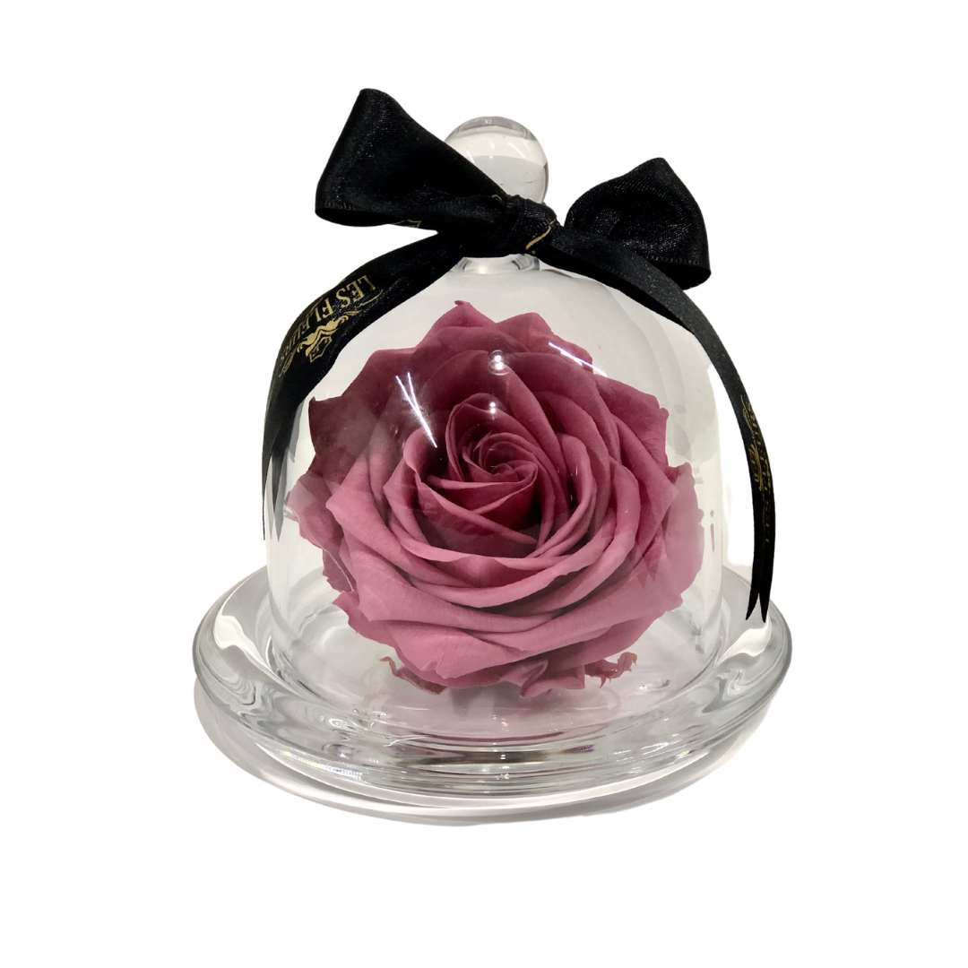 Rosa Eterna - capelo cristalino – Les Fleurs